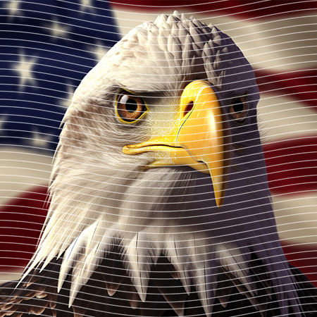 20oz integrate-EJ-10641